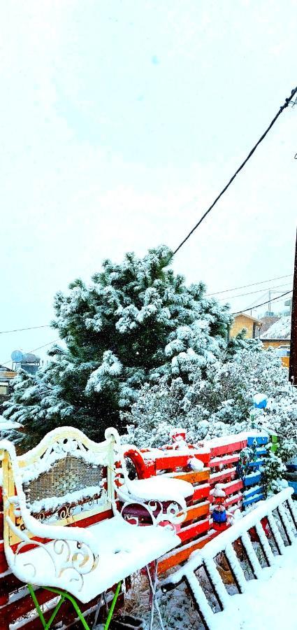 צימרים בהר Majdal Shams Exterior foto